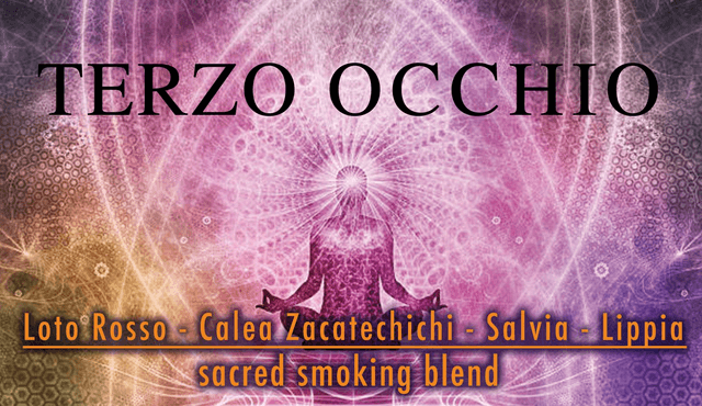 TERZO OCCHIO (Loto Rosso - Calea Zacatechichi - Salvia - Lippia) 20g